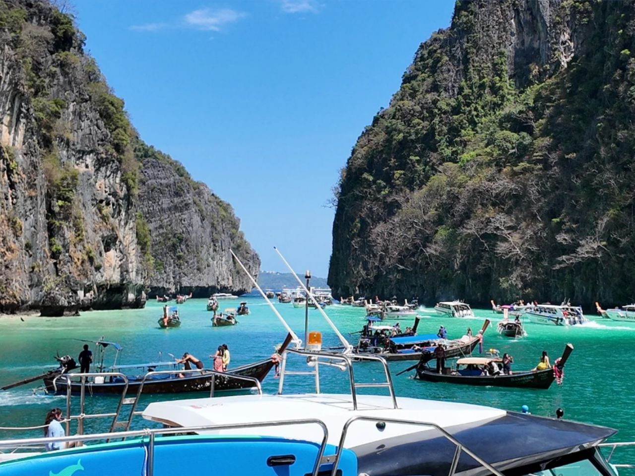 Phi Phi Islands Day Trip