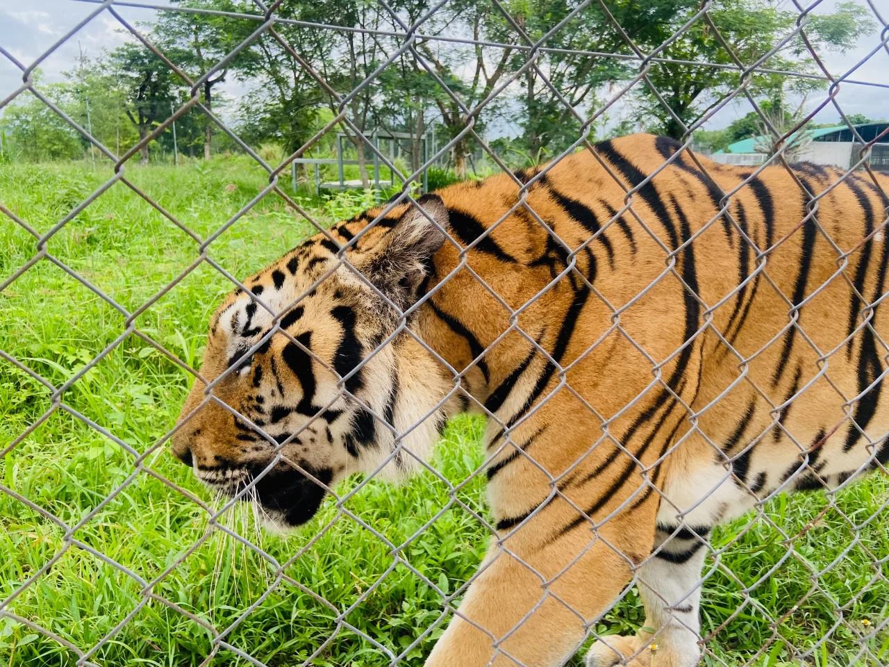 Wildlife Friends Foundation rescue center 3