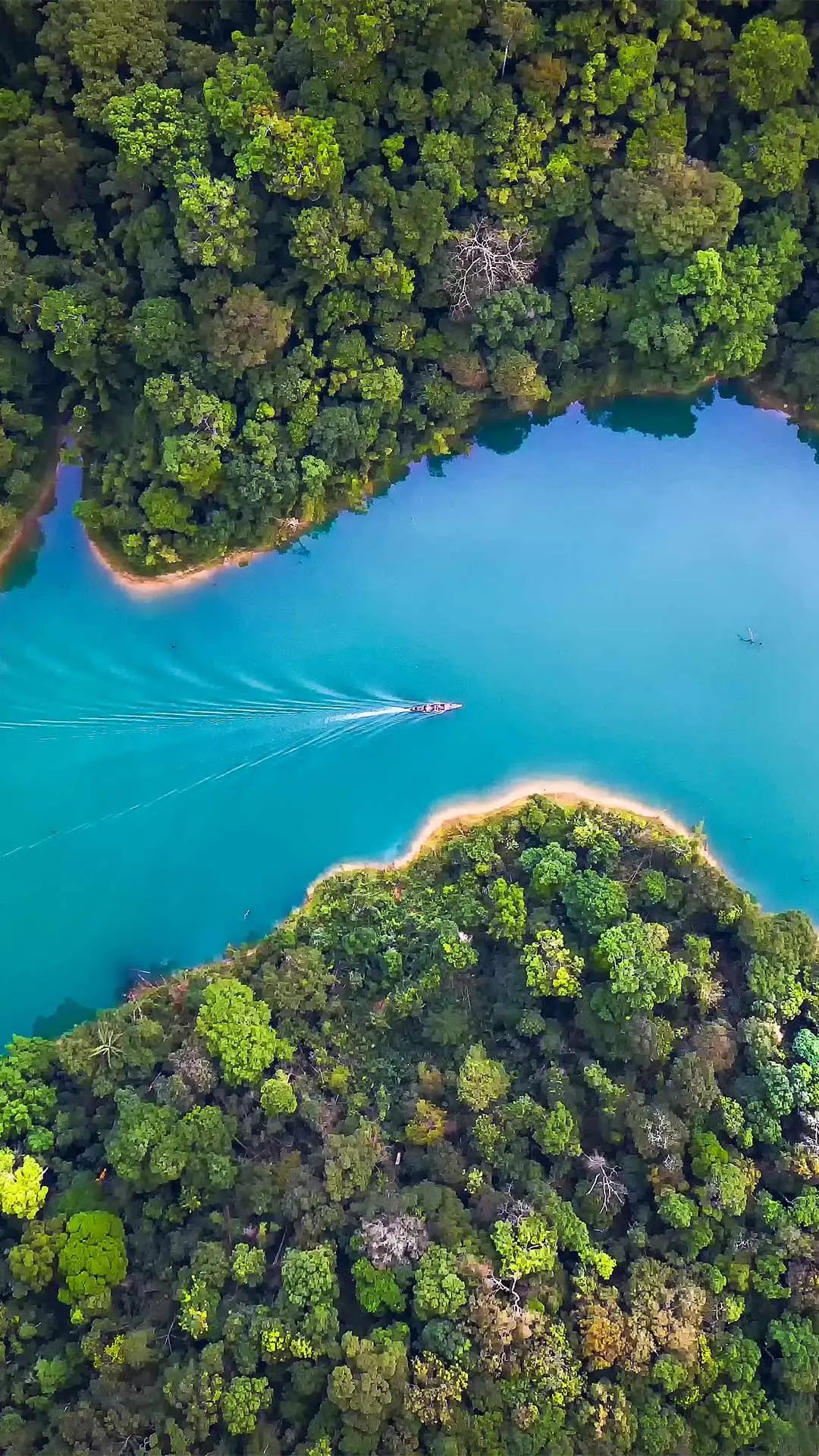 Khao Sok 1