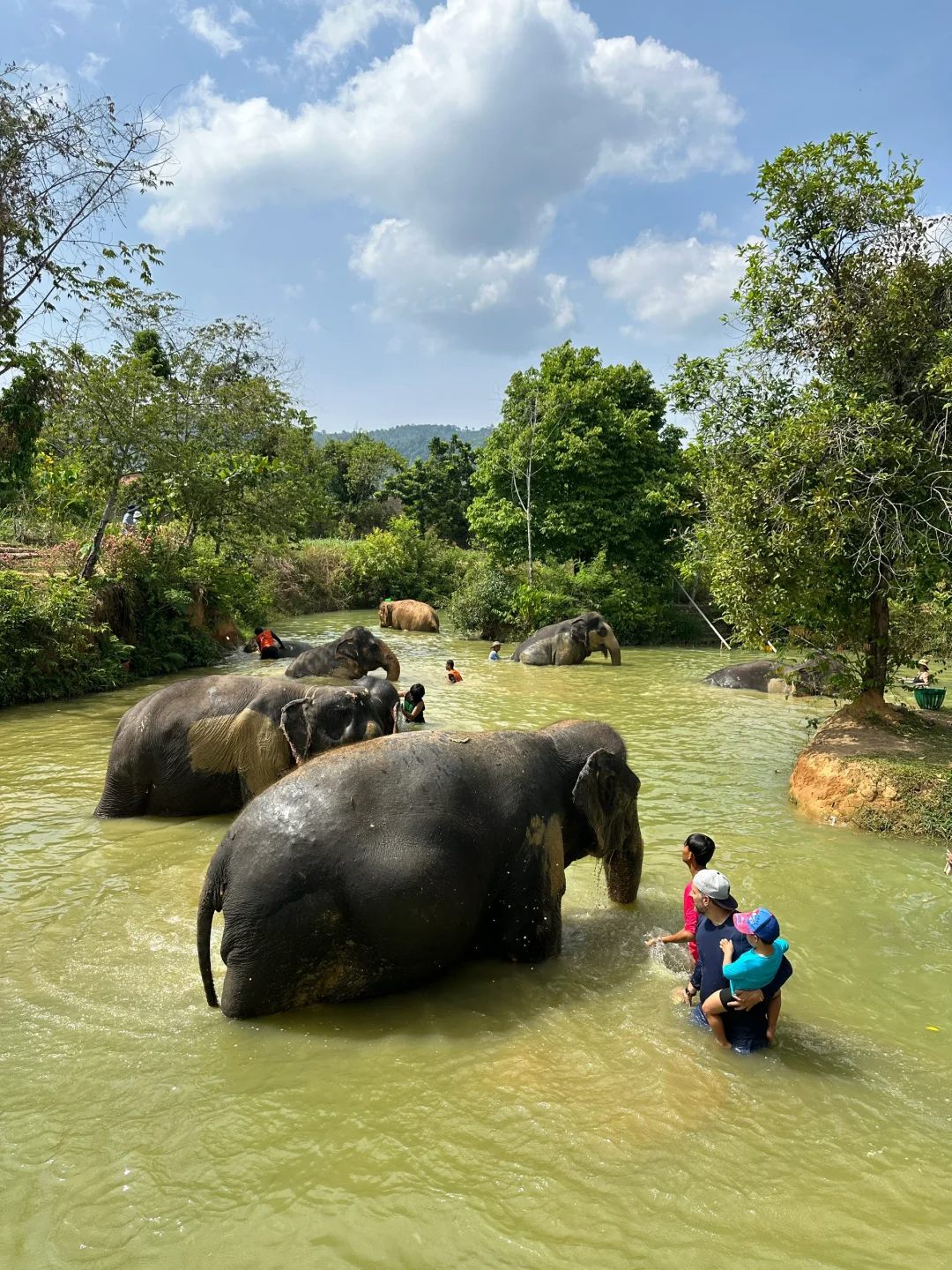 Elephant sanctuary 1