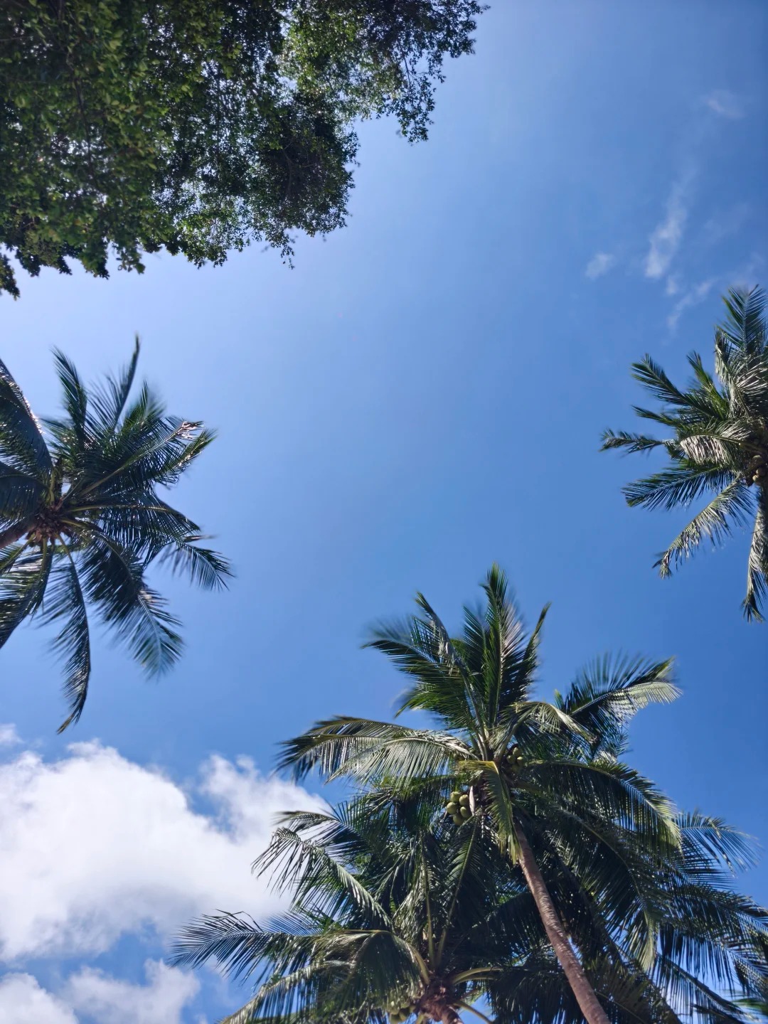 Phangan 1